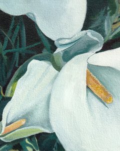 Élégants lis calla - Viccy Wanliss