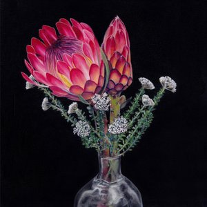Bouquet de protéas royales