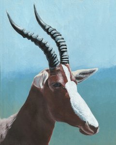 Portrait majestueux d