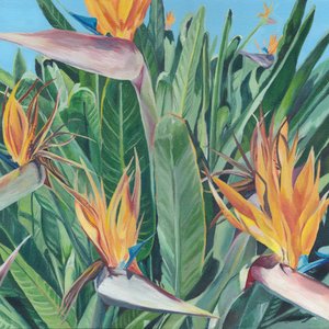 Oiseau de paradis aux couleurs éclatantes - Viccy Wanliss
