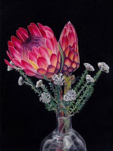 Bouquet de protéas aux couleurs vives