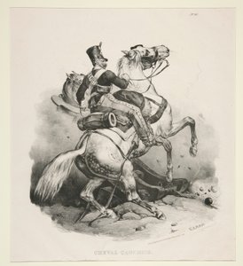 Cheval Cauchois