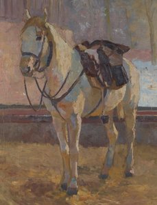 Cheval blanc sous la selle