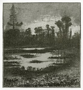 Les Chants du Crépuscule