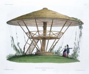 Parasol de Robinson, Parc de la Motte, Bourgogne, de 