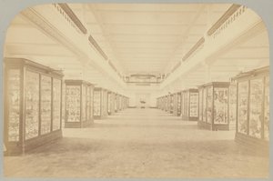 Pl. III. Histoire principale : Oiseaux - Victor Prevost, Gaston L. Feuardent and Co., New York