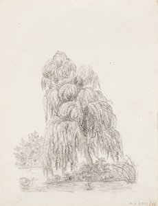 Arbre à feuilles larges - Victoria Åberg