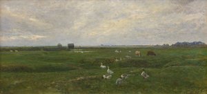 Oies près d