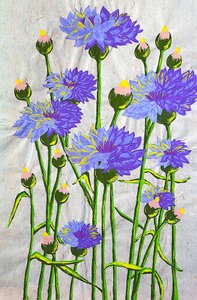 Des bleuets d