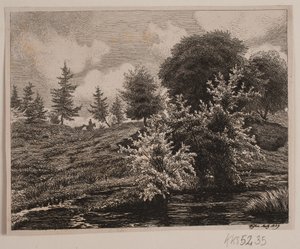 Collines près d