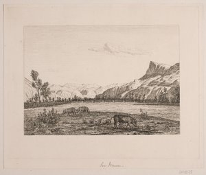 Paysage montagneux au Tyrol