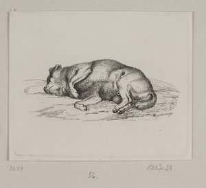 Un chien couché - Vilhelm Kyhn