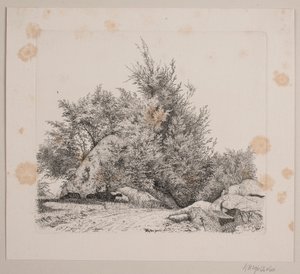 Une grande pierre roulante