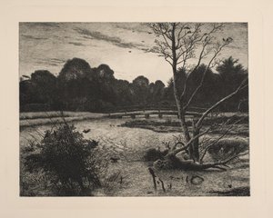 Coucher de soleil dans une forêt - Vilhelm Kyhn