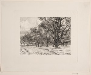 Hiver dans la forêt