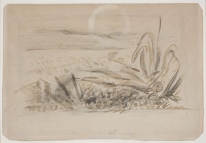 Paysage avec agave. Sud de la France