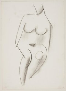 Femme Nue Assise Vue de Face