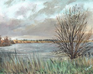 Fannyside Loch - Vincent Alexander Booth