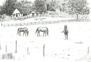Chevaux en haut du chemin - Vincent Alexander Booth