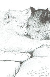 Montwee et Bébé Nouvel An 2005, 2005