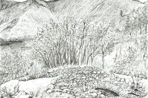 Vieux pont de pierre dans le Lake District, 2005