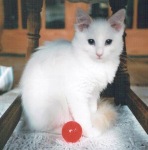 garçon à la balle rouge