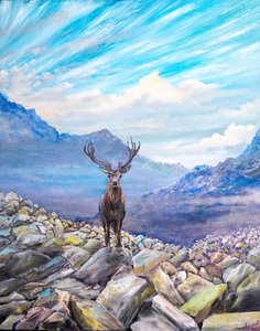Cerf ! rencontre sur les rochers - Vincent Alexander Booth