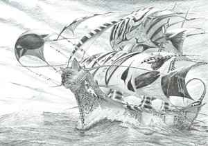 Créateurs de tempêtes, mer de Chiloé, 2018