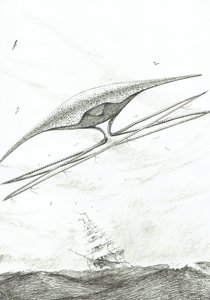 Créateurs de tempêtes Foxe Basin, 2022 - Vincent Alexander Booth