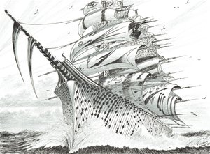 Créateurs de tempêtes Baie de Hawke