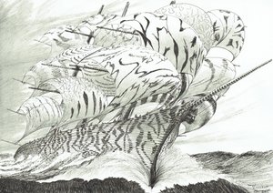 Créateurs de tempêtes, Lac Kariba, 2022