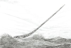 Créateurs de tempêtes Lac Mweru, 2023 - Vincent Alexander Booth