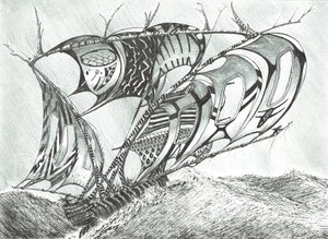 Créateurs de tempêtes Mer des Sargasses, 2017 - Vincent Alexander Booth