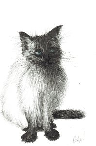 Jeune bébé, 2004