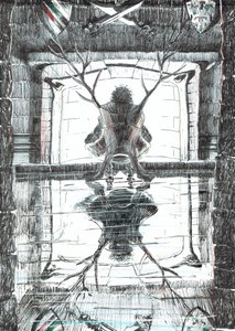 page15, Le Château dans la forêt de Findhorn, 2006
