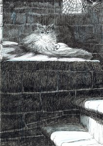 page21, Le Château dans la forêt de Findhorn, 2006
