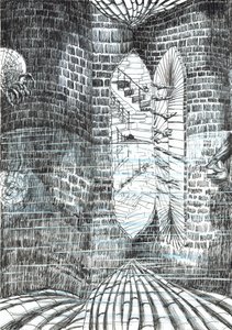 page23, Le Château dans la forêt de Findhorn, 2006