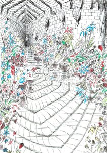 page37, Le château dans la forêt de Findhorn, 2006