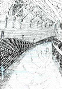 page41, Le château dans la forêt de Findhorn, 2006