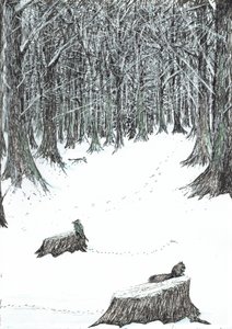 page5, Le Château dans la forêt de Findhorn, 2006 - Vincent Alexander Booth