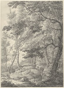 Paysage forestier avec un petit pont en bois et deux promeneurs - Vincent Jansz. van der Vinne