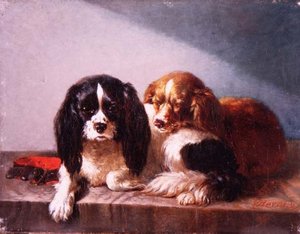 Une paire de Cavalier King Charles Spaniels sur un rebord