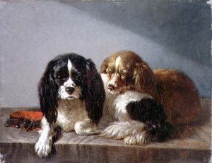 Épagneuls King Charles