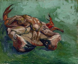 Un crabe sur le dos
