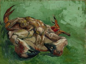 Un crabe, couché sur le dos, 1889