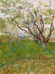 Verger en fleurs