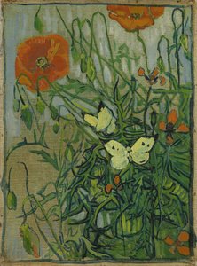 Papillons et coquelicots