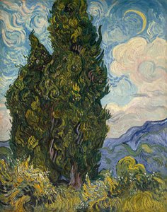 Cyprès