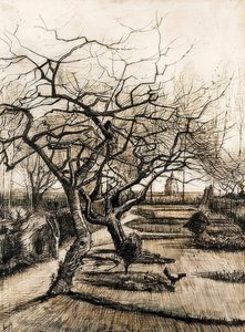 Le jardin du presbytère à Nuenen - Vincent van Gogh