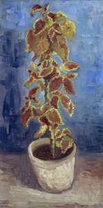 Ortie flamboyante dans un pot de fleurs - Vincent van Gogh